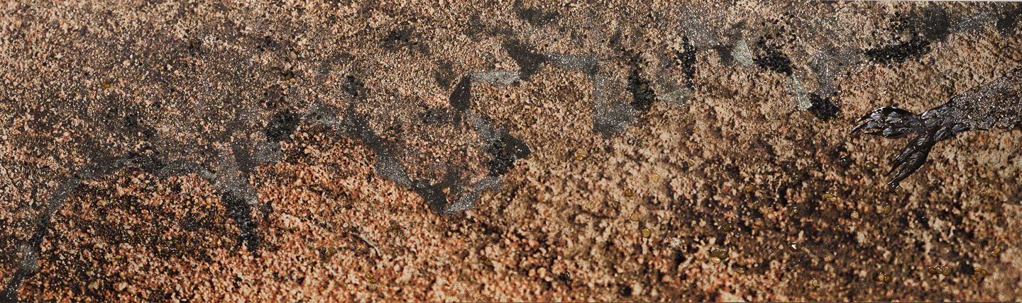 Susurros de Mar